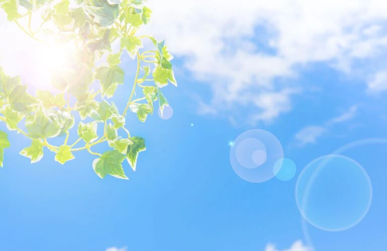 空調のムダを防ぐ！キャンバス交換のすすめ