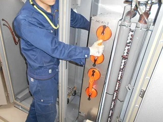豊富な実績と信頼